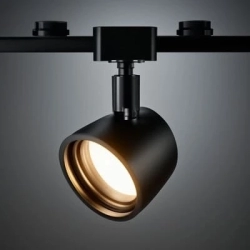 Трековые системы